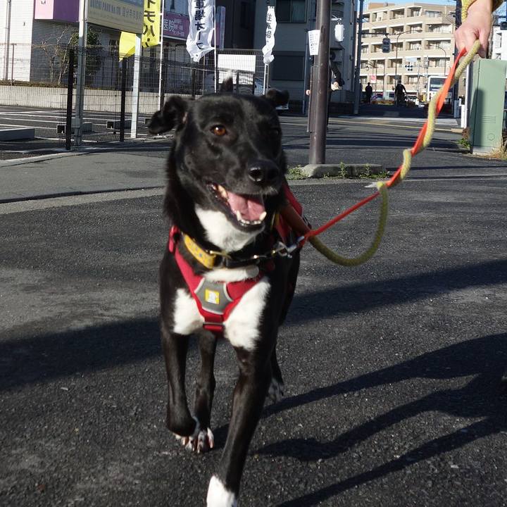 421c5b97 3aa9 4da4 8991 4d316d5feb4c 1583886046698