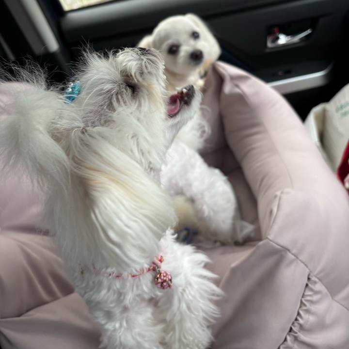 421c9f66 73be 4465 87d0 f7b30b079d72 1749458303400