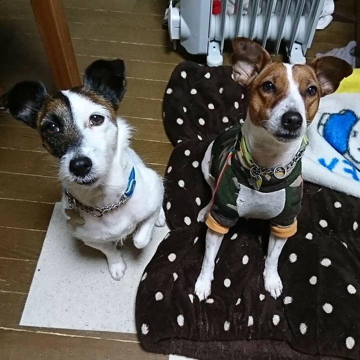 421cc8a6 850b 45bb 9e2c e646a4975039 1580164608893