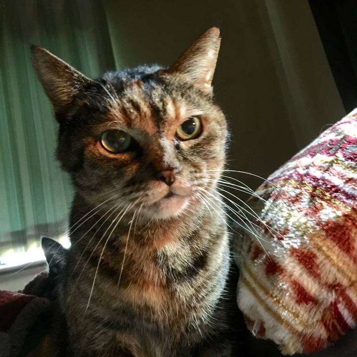 421cf5e3 4466 41df b9d6 9b1d95cbfd09 1508191452218