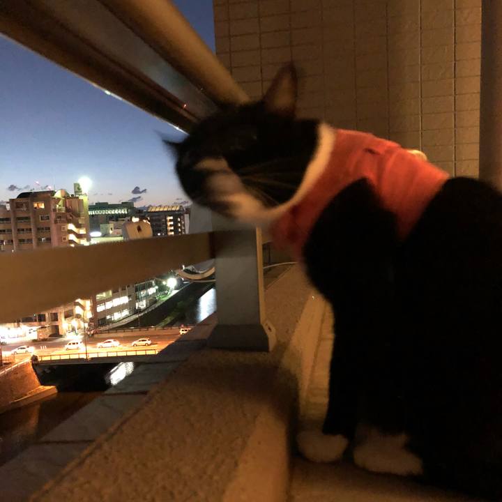 421d058c 3ded 4c26 88fc 9d726489ec99 1537999802157