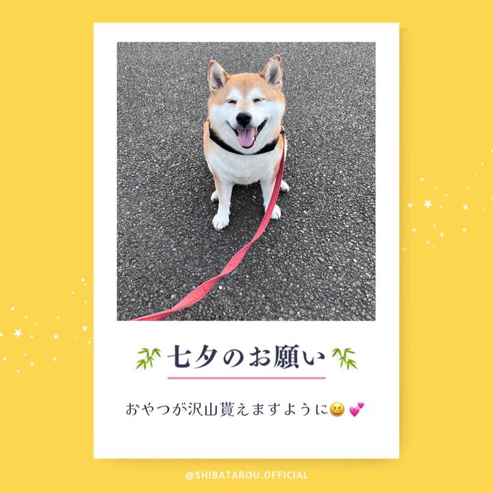 421d0be3 301a 4da2 adb6 20ca808fe3b3 1688681896259