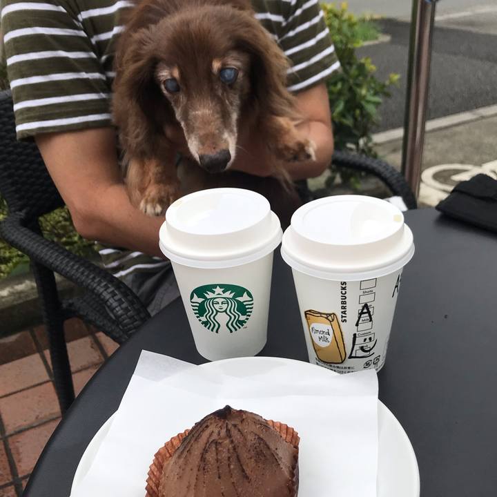 421d0ce2 2c0a 44f0 9e59 3d8b05682334 1599362614058