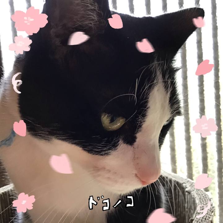 421d1083 a776 4a8a ace5 db216da3079d 1744264884789