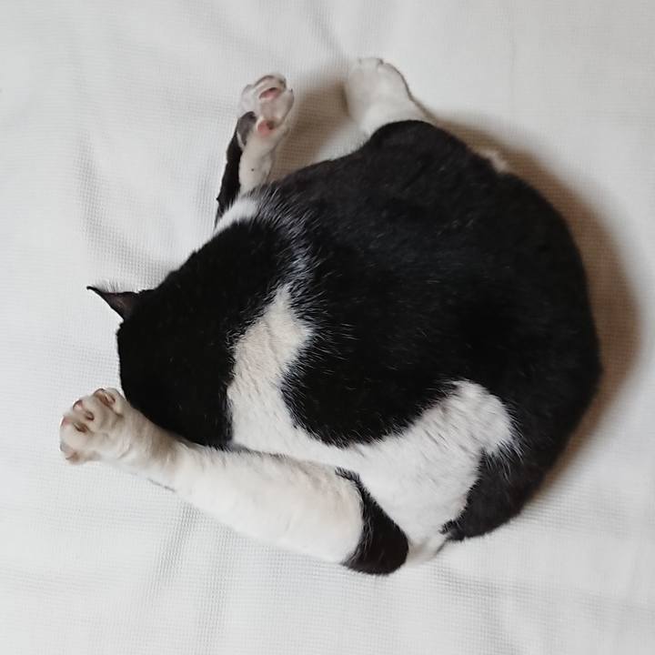 421d4496 739c 497c a18f 95482a300c46 1667792366046