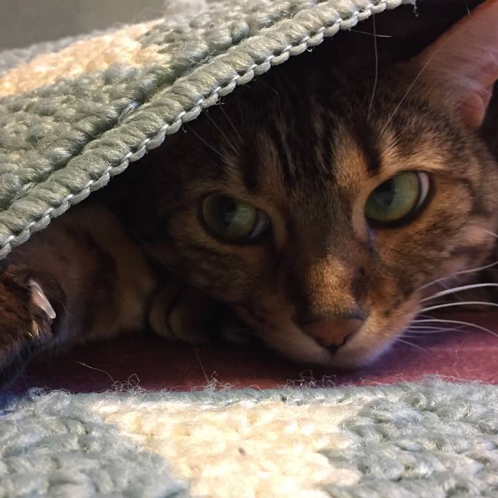 421d7f26 4894 47ac ac2a 79fef331a571 1515793440883