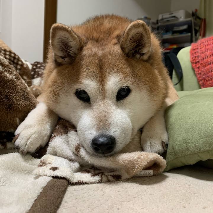 421da64e f49d 4a9c 9013 dd5fa057df54 1573995560231