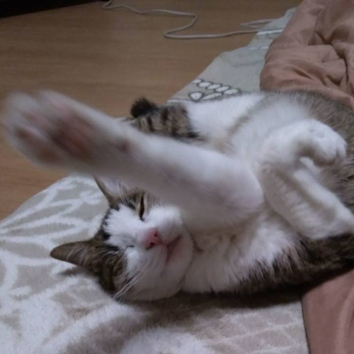 421db46f 94ea 4f4a 8f15 b79e863b37e3 1523446196408