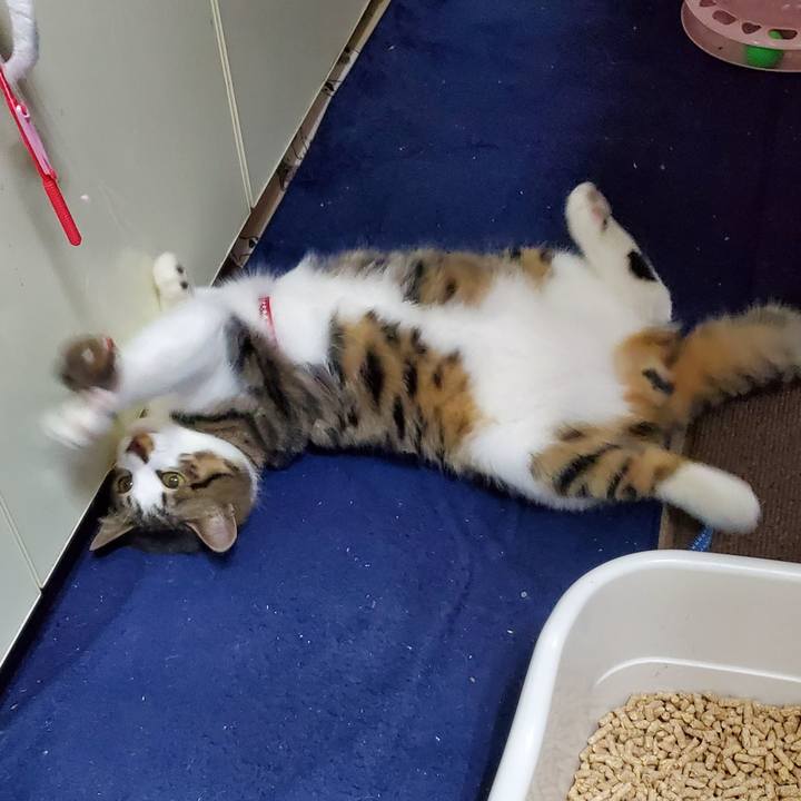 421dbeb8 f6aa 46e0 b978 10819e07a785 1736400369530