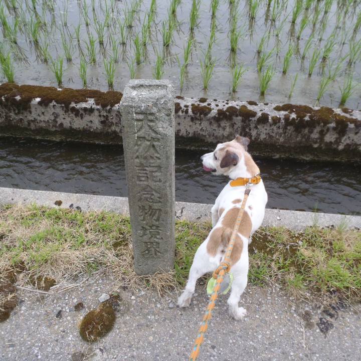 421dcdcf 1835 450c 969a b22d0b2c7e3c 1559996100738