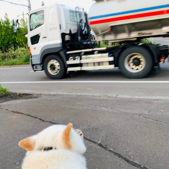 421dce14 eef4 4efe 96fd 0ceea12e8443 1600291081368