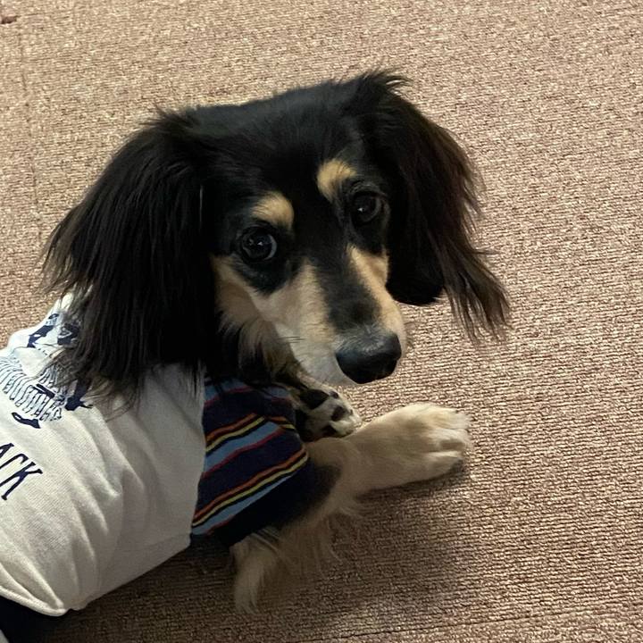 421dddeb 2483 4482 b1df 88a33529a556 1713167499717