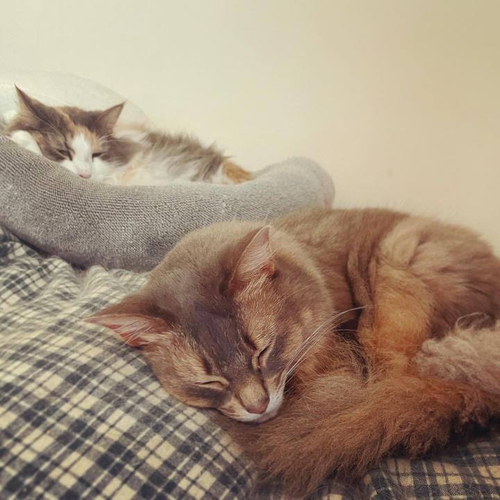 421e1e5e 4136 47bc 8a6c 9600d2bdd3c7 1673242479821