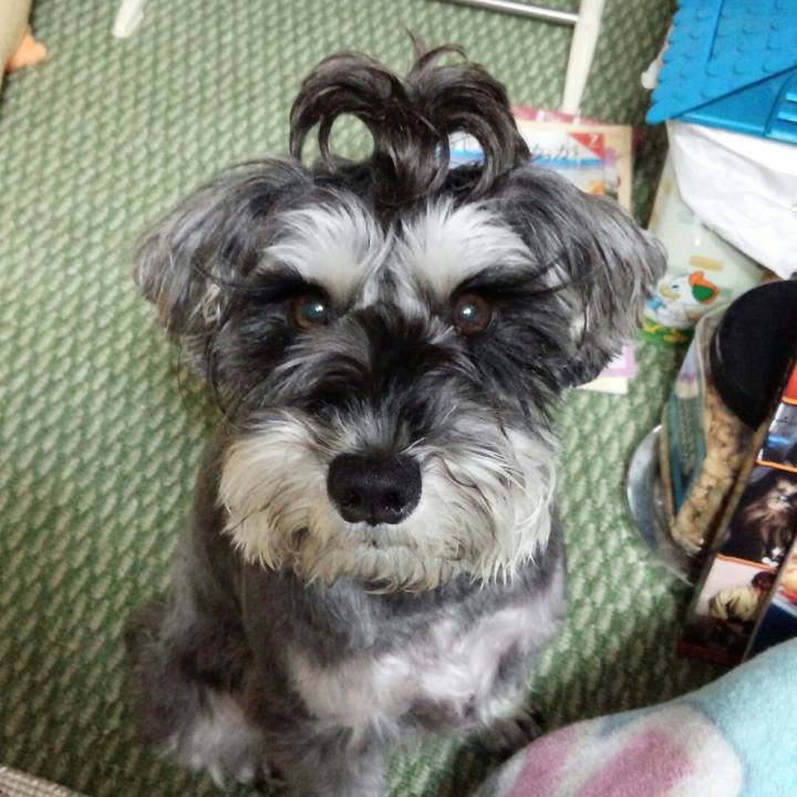 421e5893 3cf2 4a59 909d cd3fe094adbe 1511531683081