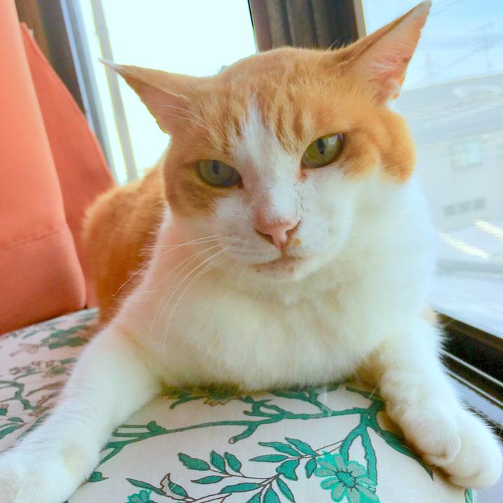 421e70fb bc93 4bc4 9be9 92d2bd04a13a 1564449011760