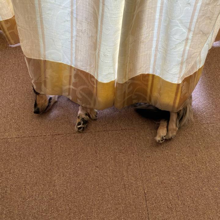 421e7ee5 09d6 4a79 94d4 4f745ca1c960 1753926474296