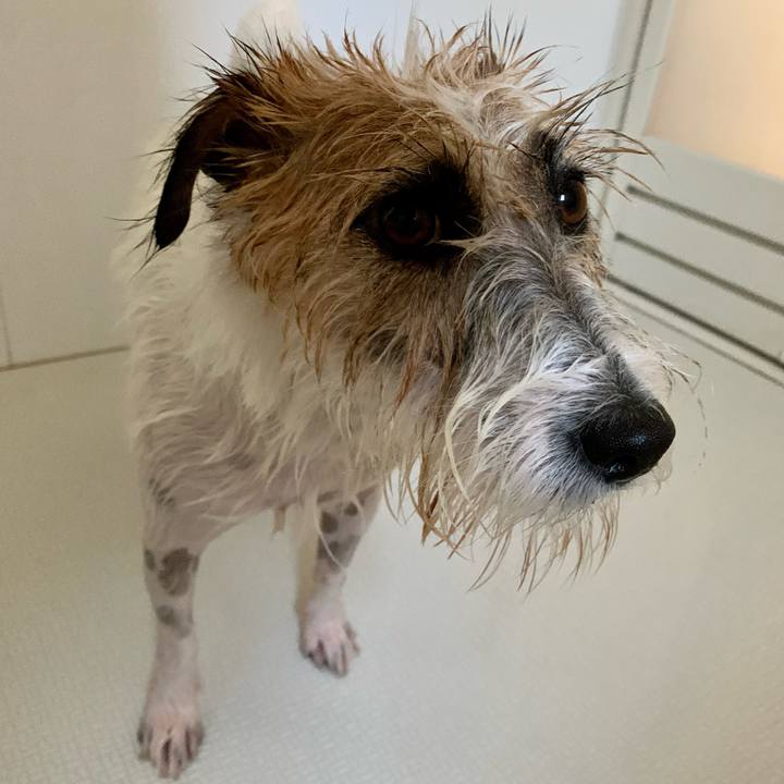 421ea46e 4bce 42ca 9313 9bc6b6617817 1659246911582