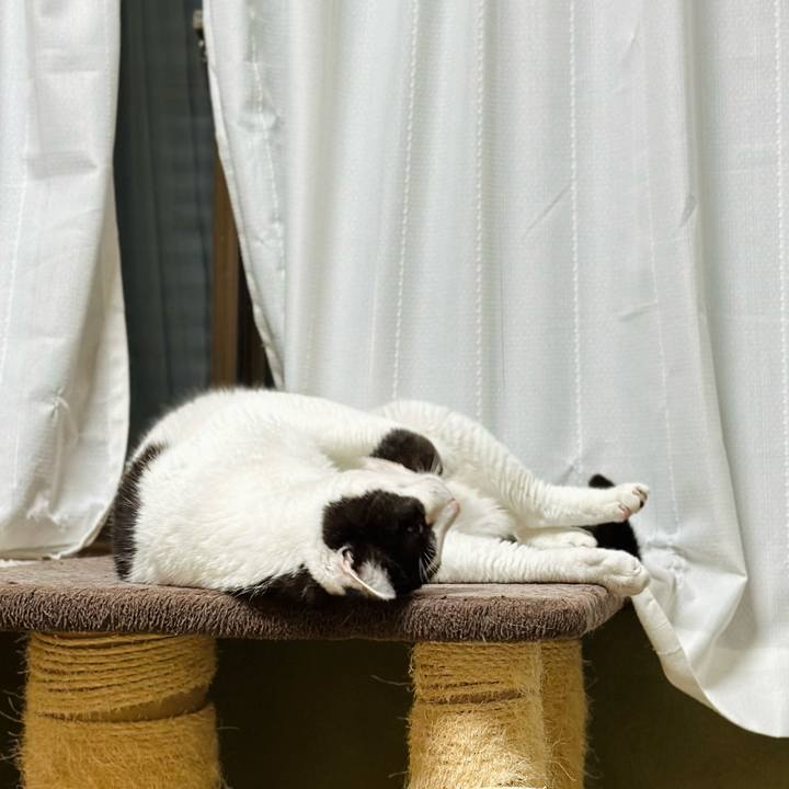 421ea6c5 e794 4eab a4d6 e782a7fe48a6 1684984007380