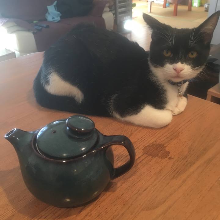 421eb100 4d9b 438b b434 22483f81aeb3 1513521283110