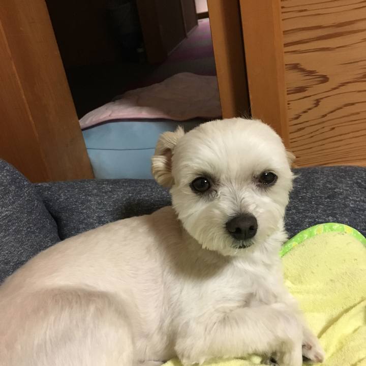 421ebbbb c331 4b92 9474 7befe216a68a 1524746290647