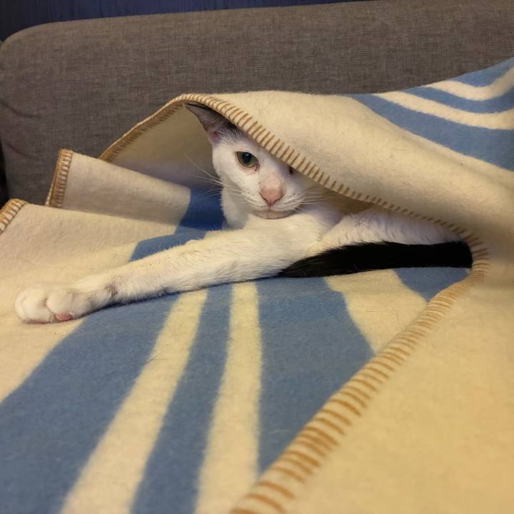 421ed88f 5d8e 4a97 b13a 4a437deafe56 1767700388875