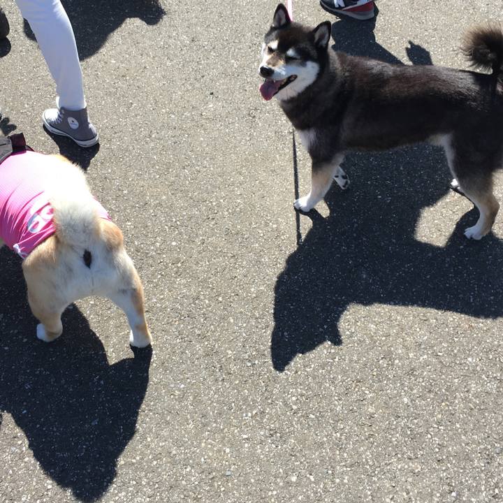 421edb03 2fca 4996 862e fe26e017993e 1583899368925