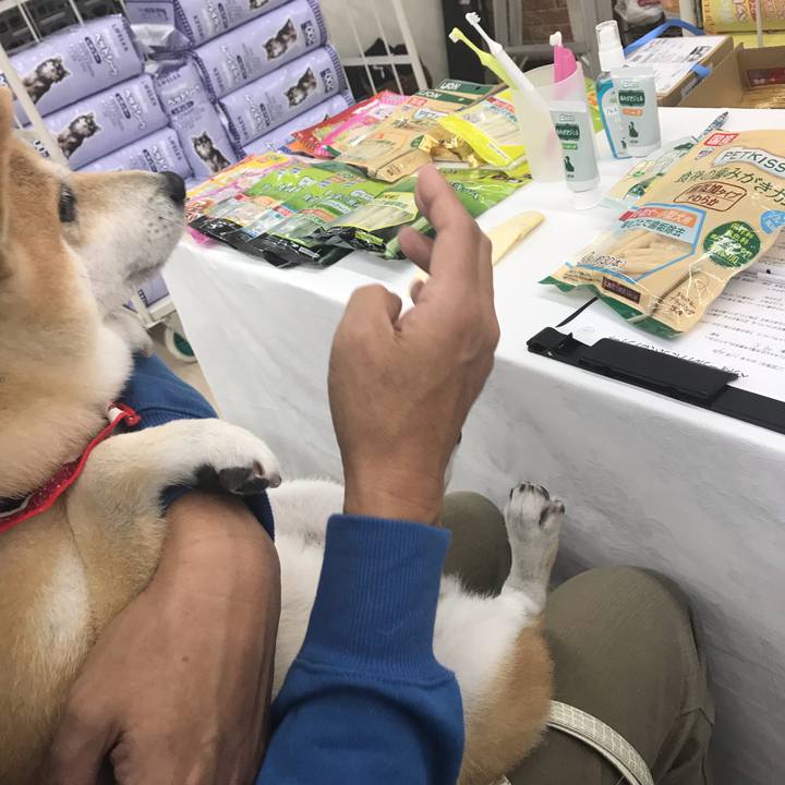 421edbf2 ece4 4251 881b 454ef2ad25d3 1543062018570