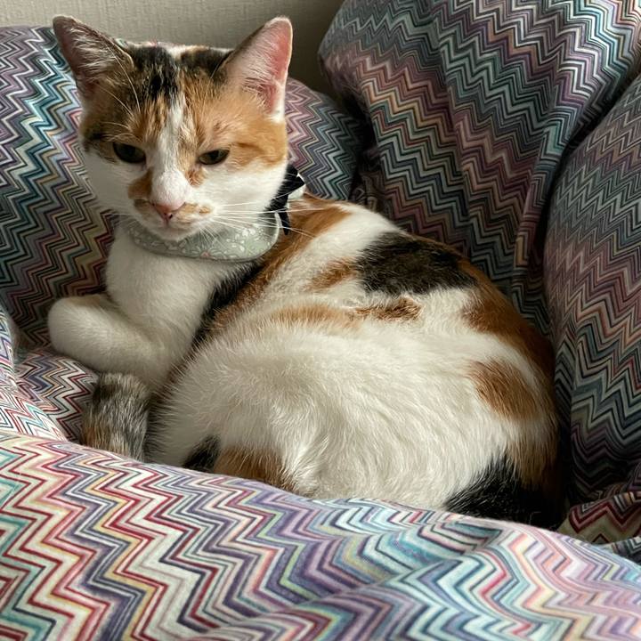 421ee480 23e5 46b8 8585 b76c3a4b6186 1665364267713