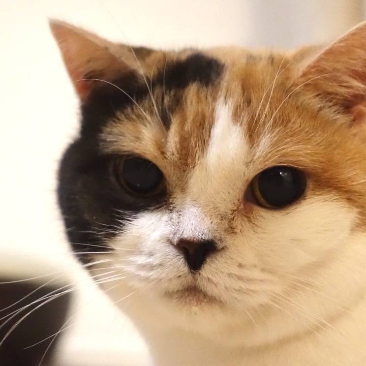 421ef83c e3fb 40d6 a00d d6a984732c92 1555424117956