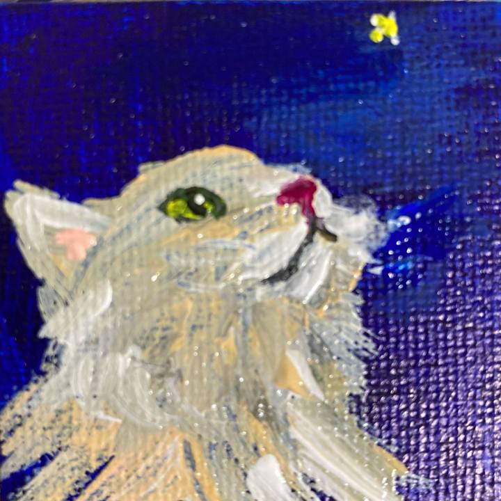 421f107b 9ebe 4c14 8c84 46e90e463dc5 1671007901605