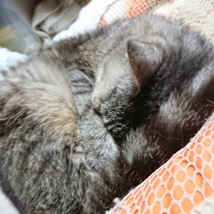 421f29f1 277d 4739 9941 30ca9b184b96 1569418304153