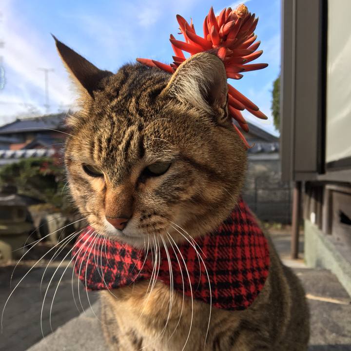 421f5847 2d4b 4d7b aa64 7d1629f71eac 1578711806301