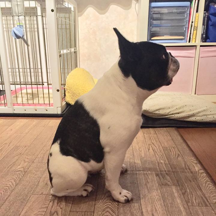 421f58d7 ed99 40d0 9d90 ad8ca1b93cce 1528644184616