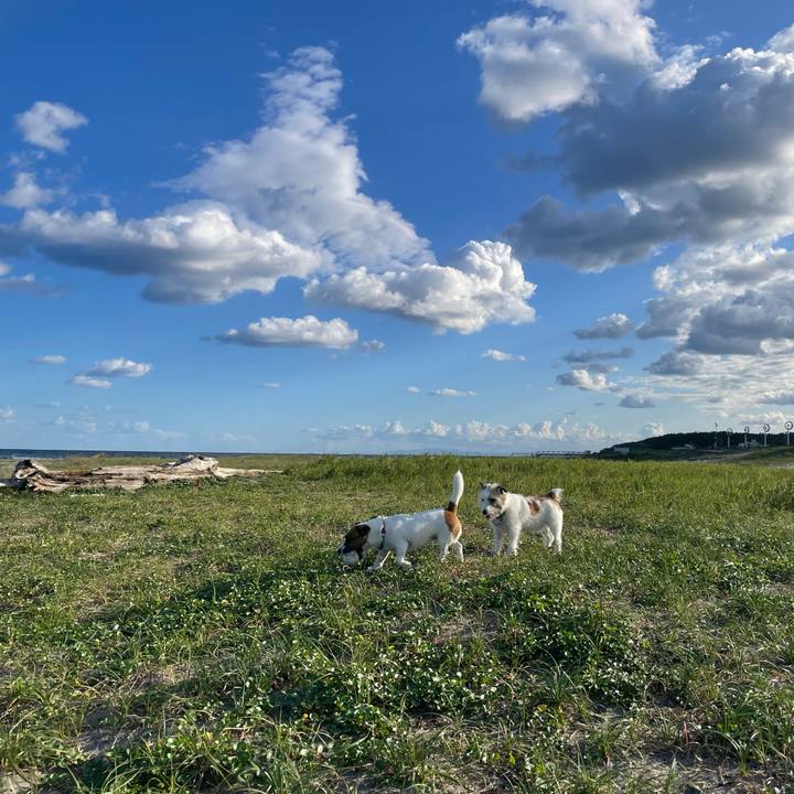 421f5ba3 d23f 4e57 8fc6 d021a8e20213 1696205101281