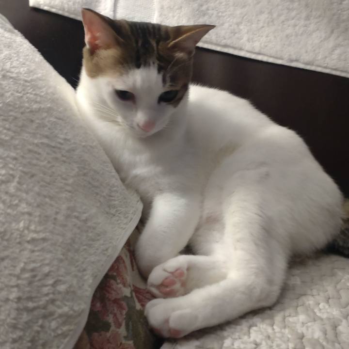 421f6e64 abdb 4277 bdcb b1ca4f2db5db 1714395441977