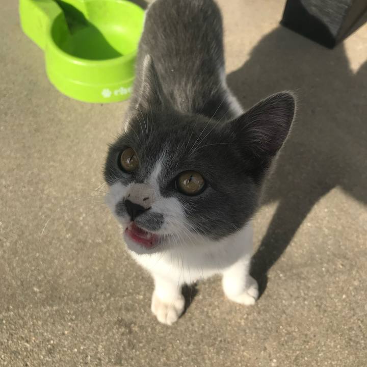 421f6fcf 9066 4c26 8131 5b68d324dfa9 1703132405049