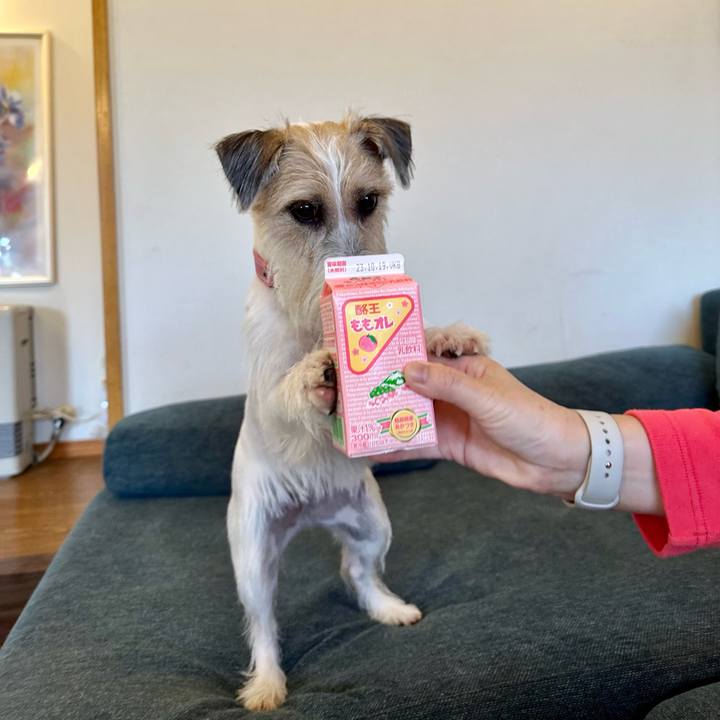 421f73ea c9bf 460a a042 2911f71791ba 1697465869761