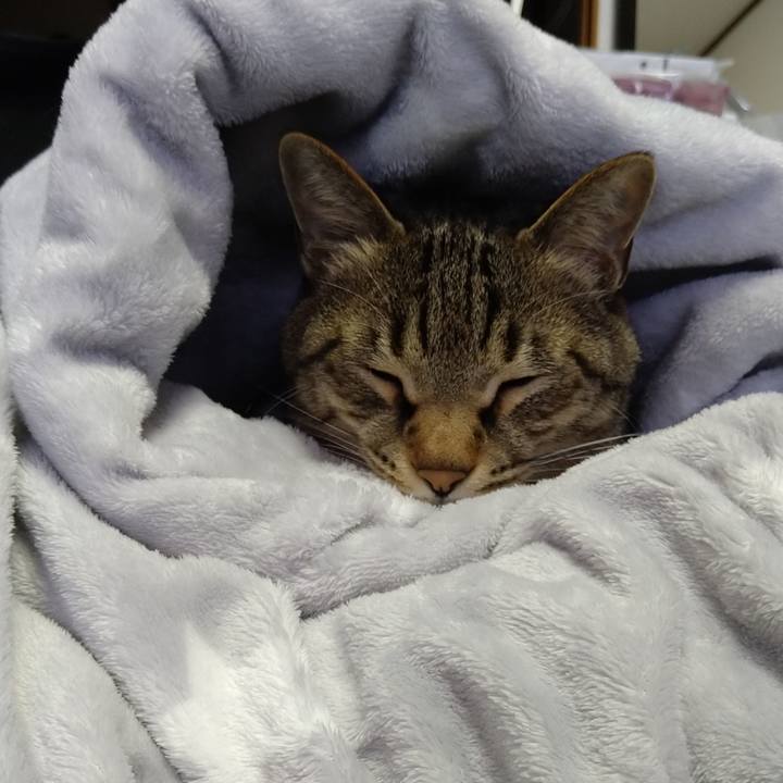 421fc125 869d 41cd aa38 fc890eb098b6 1681521011741