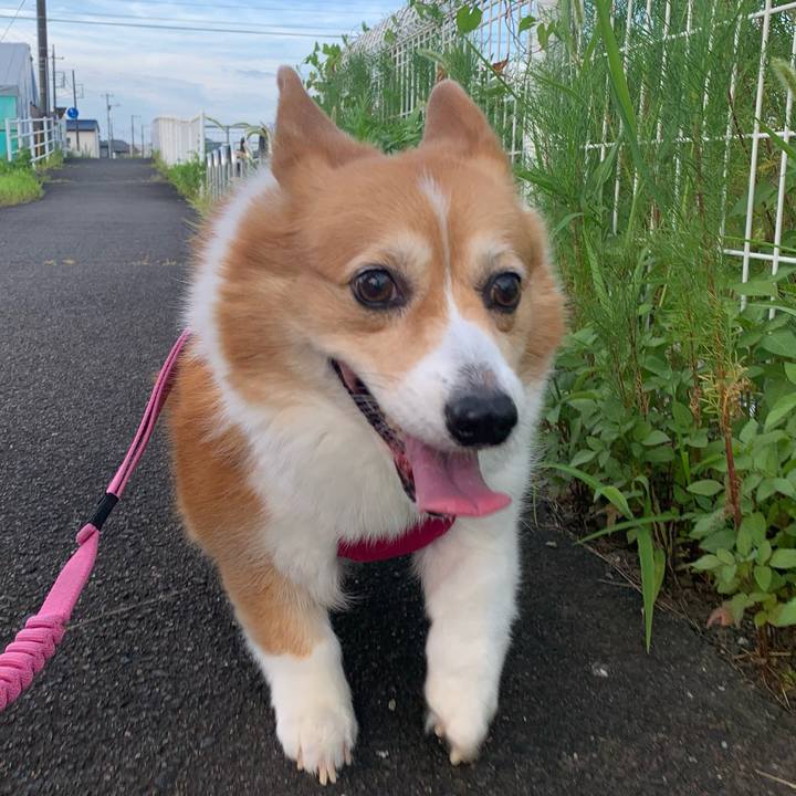 421fc25e e061 4d7f bec4 621a9fa47ff8 1722374441219