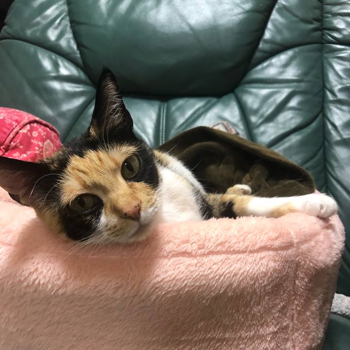 4220315d b02a 4951 a086 eb844a2e4e8d 1583933090005