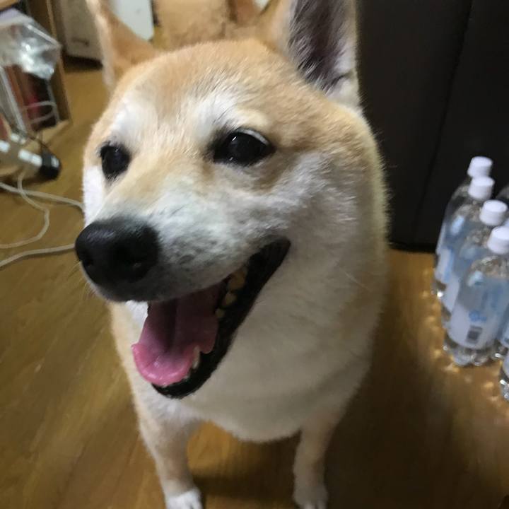 42204321 9eb3 4c7f 8985 3cc0b75ca00b 1528458204772