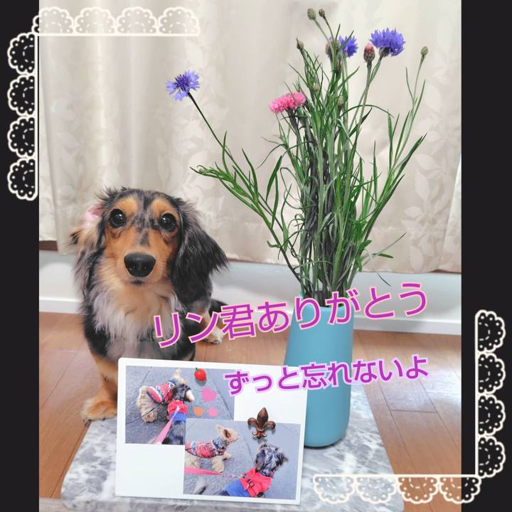 42206b8c c92e 466c 8efc 1cd61749f5e0 1747370693575