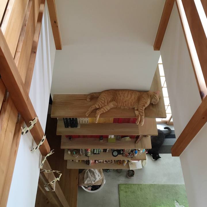 42206f7b f749 4629 ada3 23b771bf3642 1533256237571