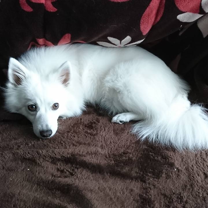 422074b2 cbbb 4619 b6bf 27fdddc98fb3 1544764181563