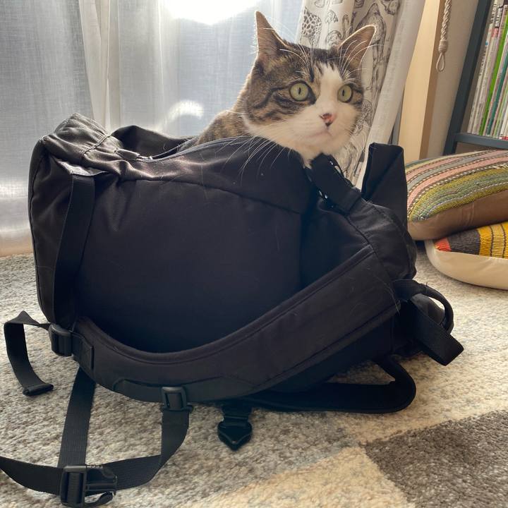 42207b6d ae91 4929 a08c 525f7a0feed3 1637713999670