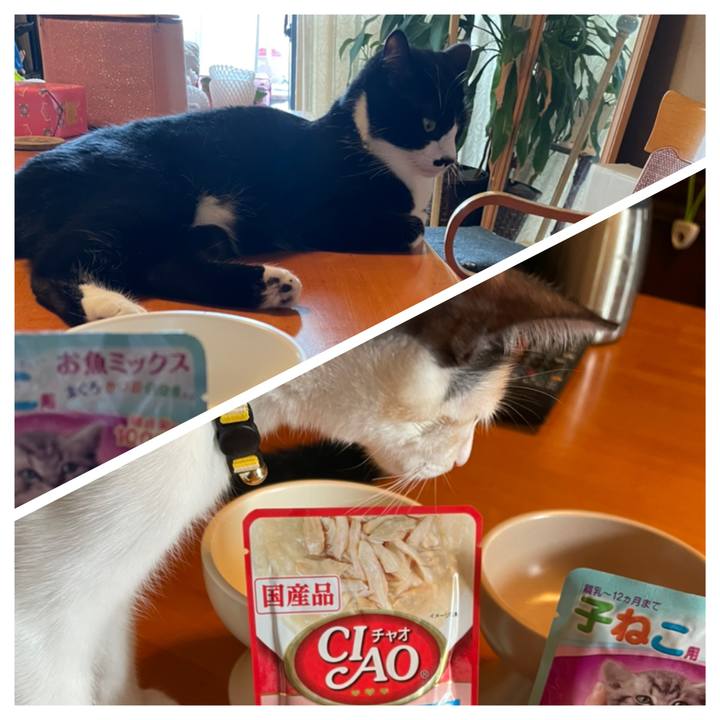 42208a1e fb53 4fe9 9256 fac7d1b30cd7 1661221268910