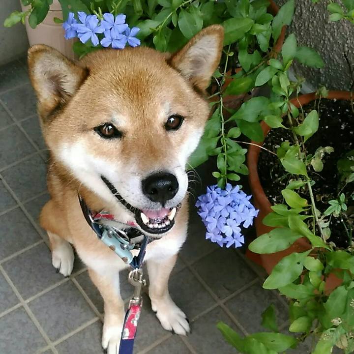 4220cea4 3fa4 4174 8d8f e000dc723dd0 1566862390227