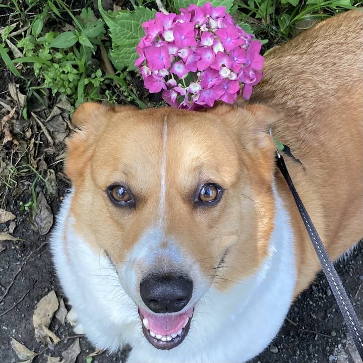 4220cf7a 7cfd 4917 a49d 56a12acdfc5e 1717804867178