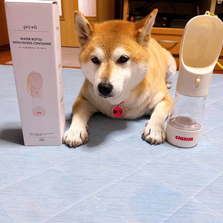 4220d5c9 4b40 4bc3 9c46 94cdaf21ff4c 1719304484092