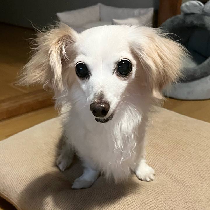 4220dd5d ac58 4705 b0d1 c3f7b49ea38b 1723972749418